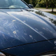 paint damage